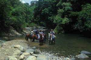 Horseback Riding at Hacienda Carabali